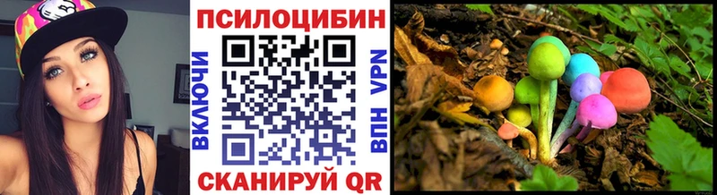 Псилоцибиновые грибы MAGIC MUSHROOMS  гидра ссылка  Ясногорск  где продают  