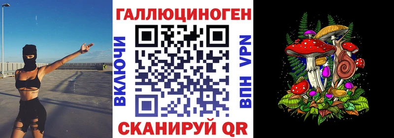 Псилоцибиновые грибы Cubensis Ясногорск